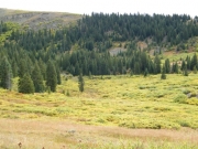 fall_colors