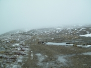 near_the_top