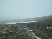 new_snow