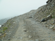 rock_in_the_trail