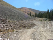 almost_above_timberline