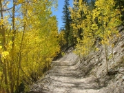 aspens_part_1