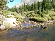 browns_lake_part_5