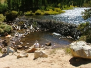 browns_lake_part_6
