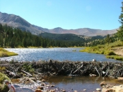 browns_lake_part_7