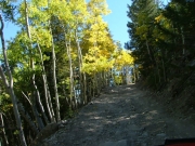 climbing
