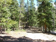 down_to_browns_lake_part_3