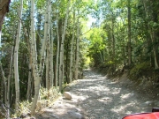 early_trail