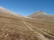 illegal_trail