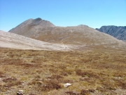 mount_white_in_the_distance