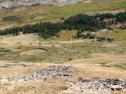 on_the_browns_lake_spur