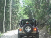 bill_on_the_trail