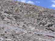 rocks