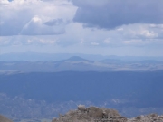 see_for_miles