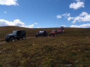 jeeps_on_mount_white