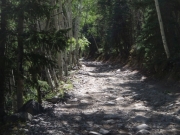 trail_part_1