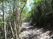 trail_part_2