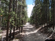 trail_part_4
