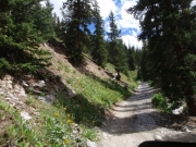 trail_part_5
