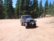 terry_on_the_trail