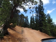 trail_part_1