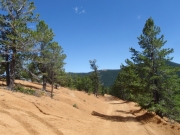 trail_part_5