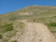 climbing