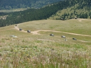 jeeps_climbing