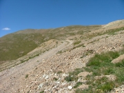 shelf_road