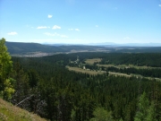 view_near_the_start
