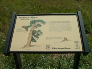 windy_ridge_sign