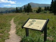 windy_ridge_trail_part_1
