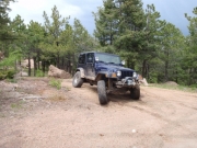 terry_flexing