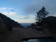 trail_part_4