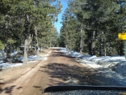 muddy