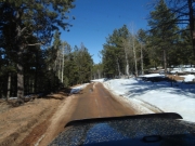 patches_of_snow
