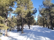 trail_part_1