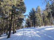 trail_part_2