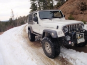 roger_in_snow