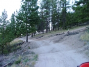 early_trail