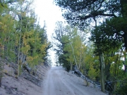 mellow_trail
