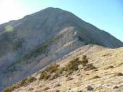 mount_princeton