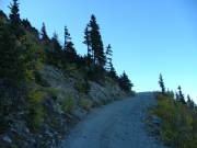 shelf_road