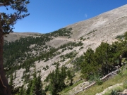 shelf_road