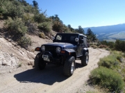 terry_on_the_trail