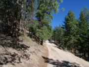 trail_part_1