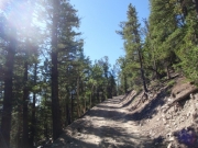trail_part_2