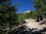 trail_part_6