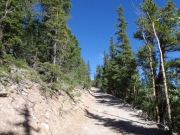 trail_part_7