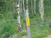 carsonite_sign